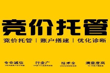 SEM推广优化技巧：实战案例精选